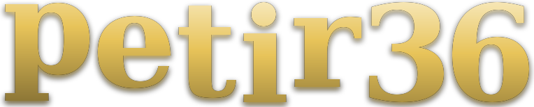 petir36 logo